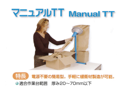 MANUAL TT